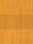 Store plissé Coton 3116.1356 Detailansicht
