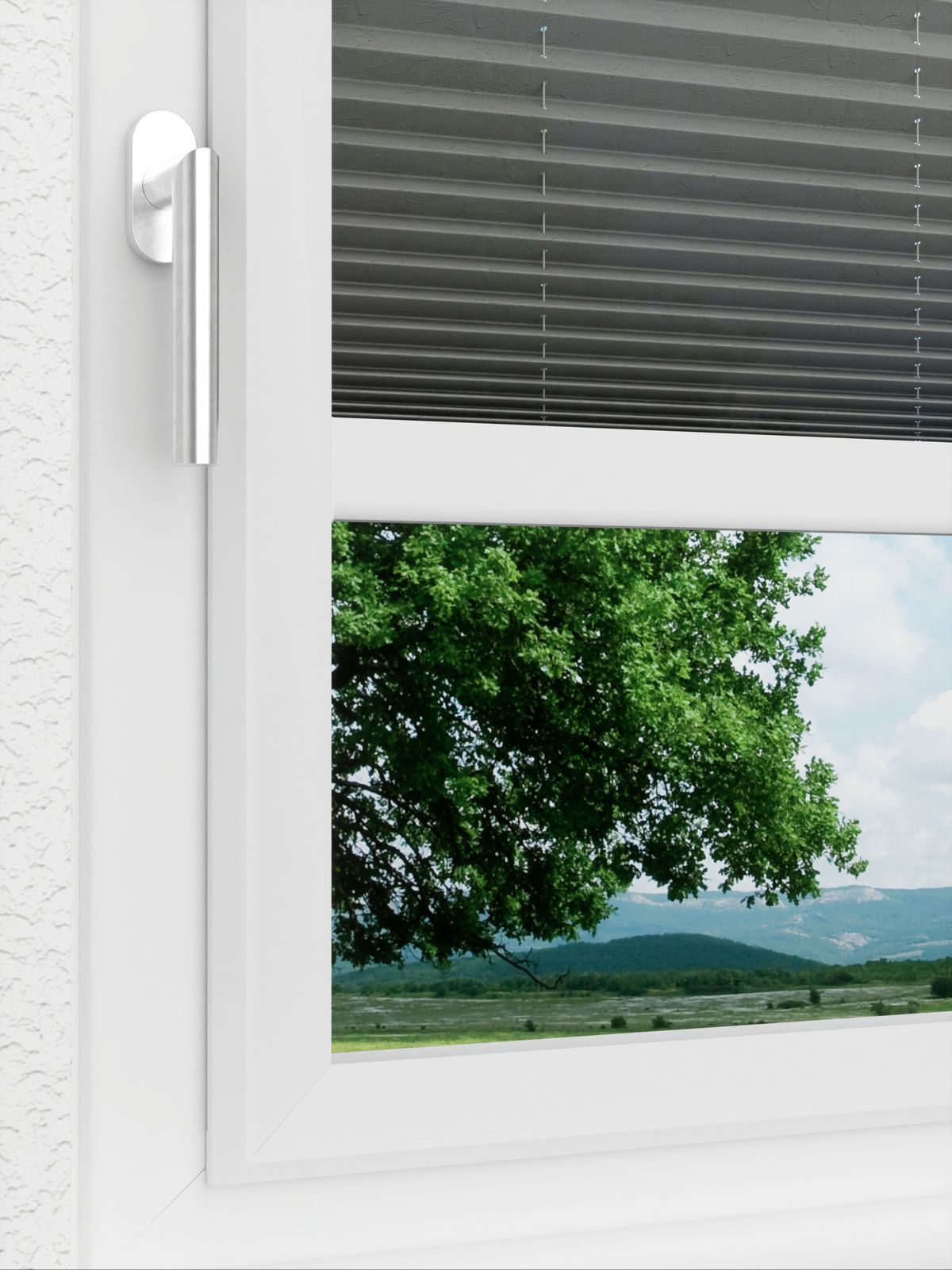 Detailansicht LYSEL HOME Store plissé 109A Crush