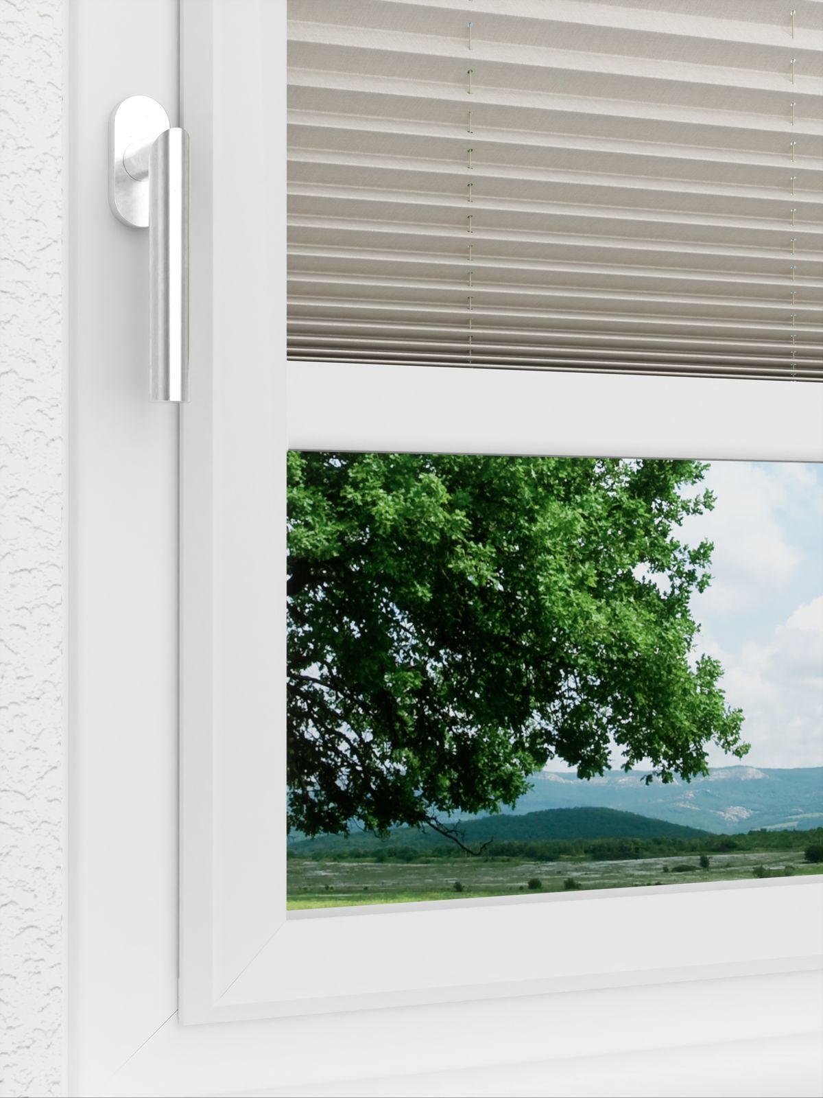 Detailansicht LYSEL HOME plissé 213A Torpo BO