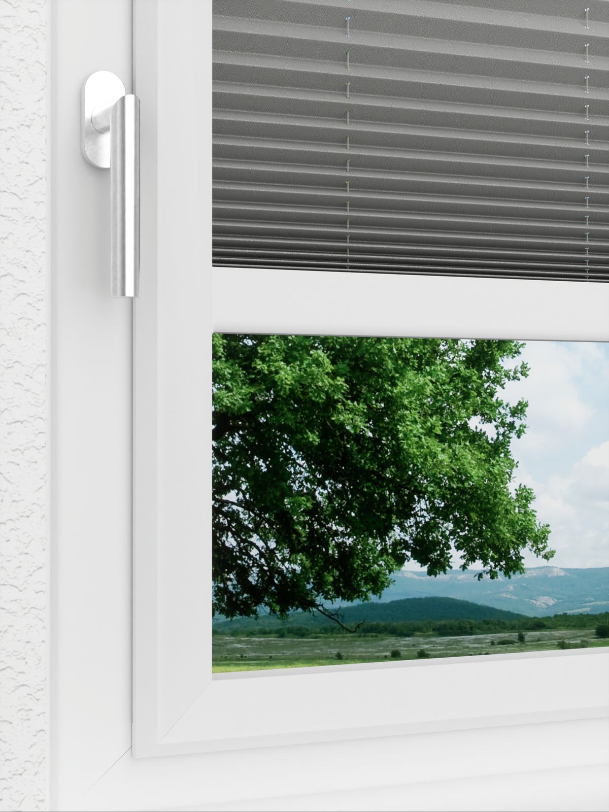 Detailansicht LYSEL HOME plissé 309A Alora