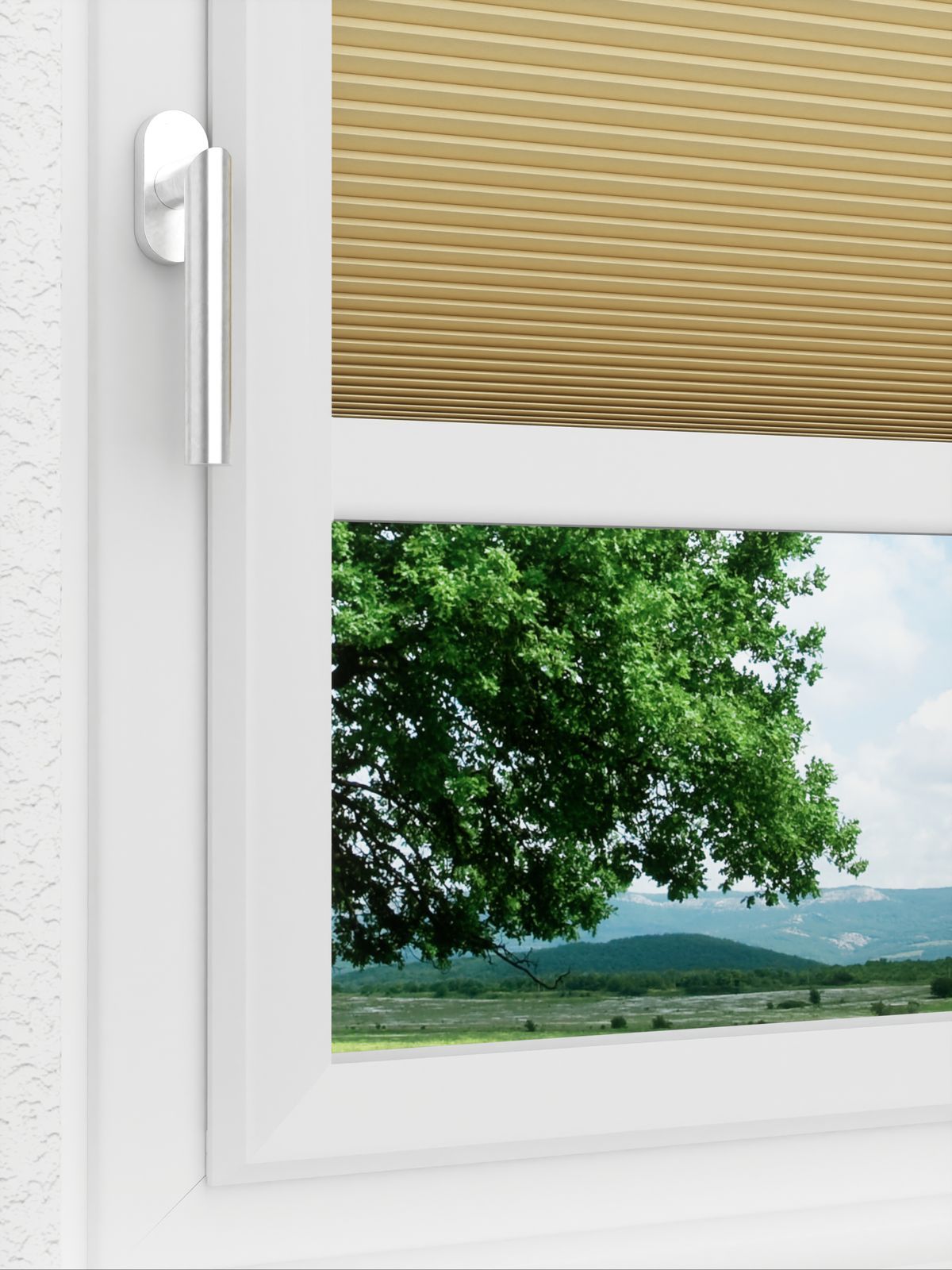 Detailansicht LYSEL HOME plissé nid d'ab. 031A Alba LI