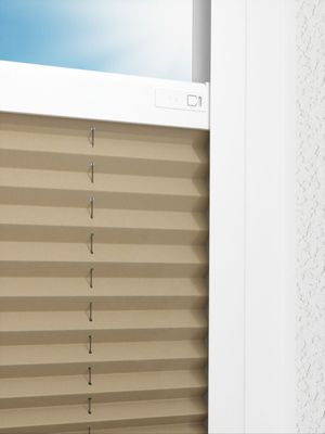 Preview LYSEL HOME Plissé 234A Aralia 2