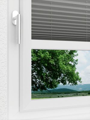 Preview LYSEL HOME plissé 309A Alora 3