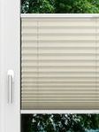LYSEL HOME Plissé 125A Aralia Fensteransicht