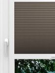 LYSEL HOME Plissee 314A Evelyne BO Wabe Fensteransicht