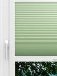 LYSEL HOME Plissee 331A Lightly Wabe Fensteransicht
