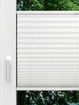LYSEL HOME Plissé 124B Crush Pearl Fensteransicht