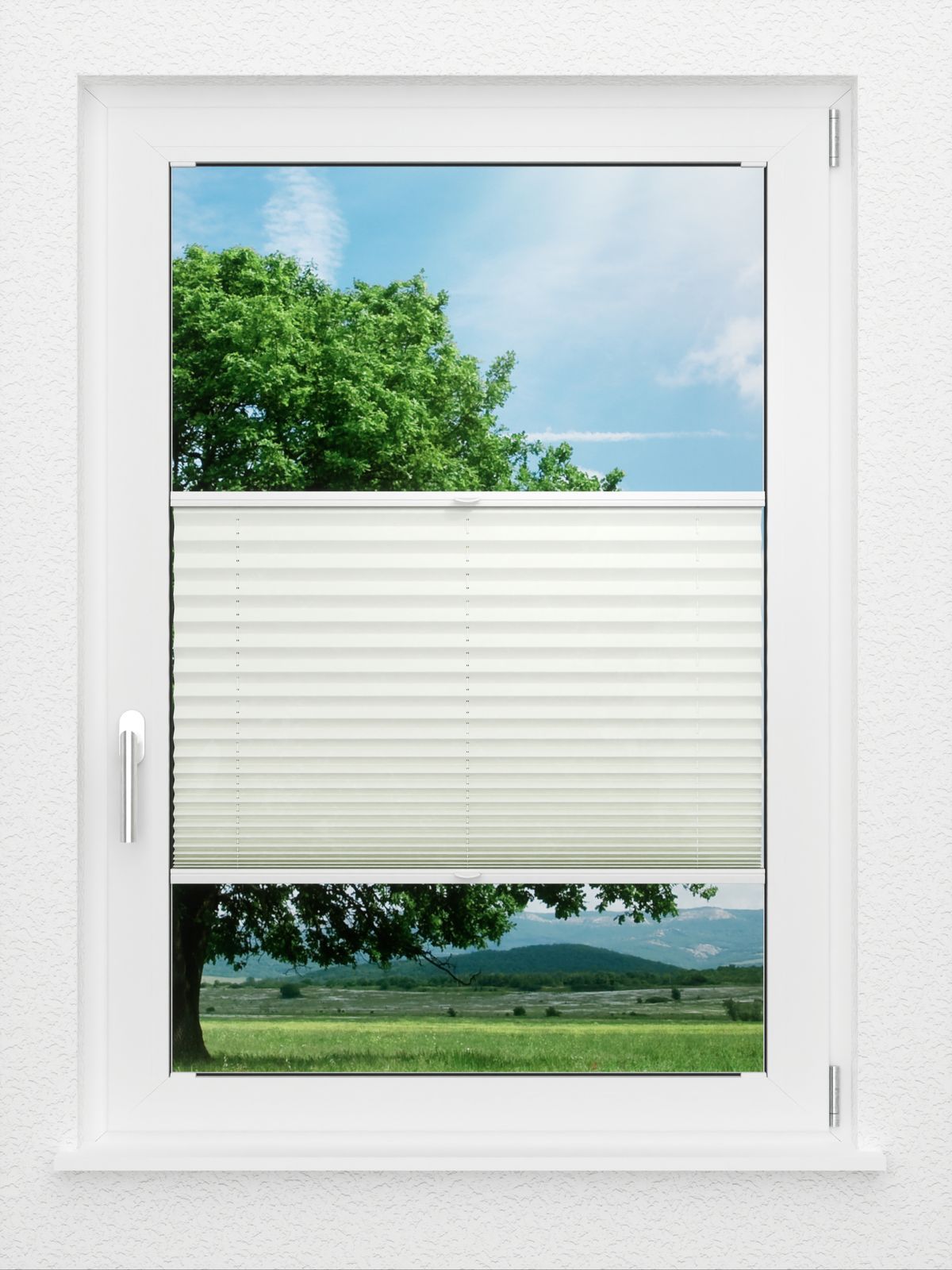 Detailansicht LYSEL HOME Plissé 132A Aralia