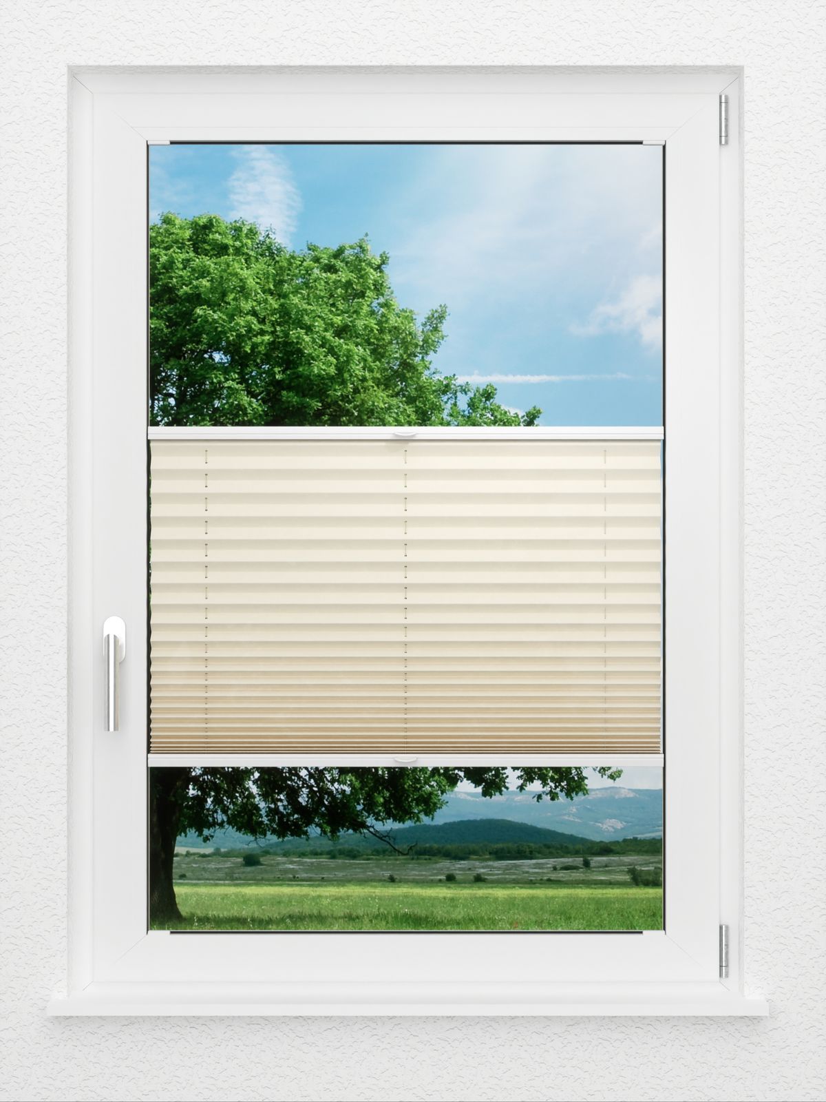 Detailansicht LYSEL HOME Plissé 133A Aralia