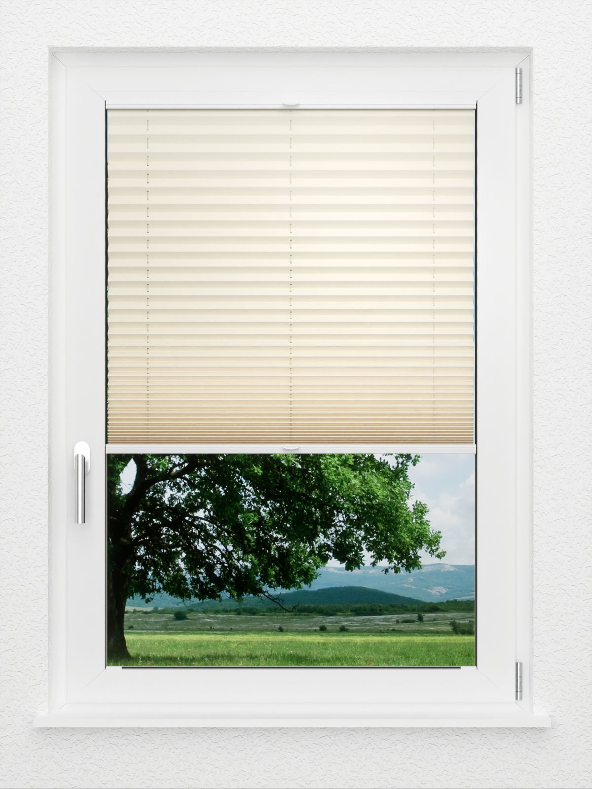 Detailansicht LYSEL HOME Plissé 133A Aralia