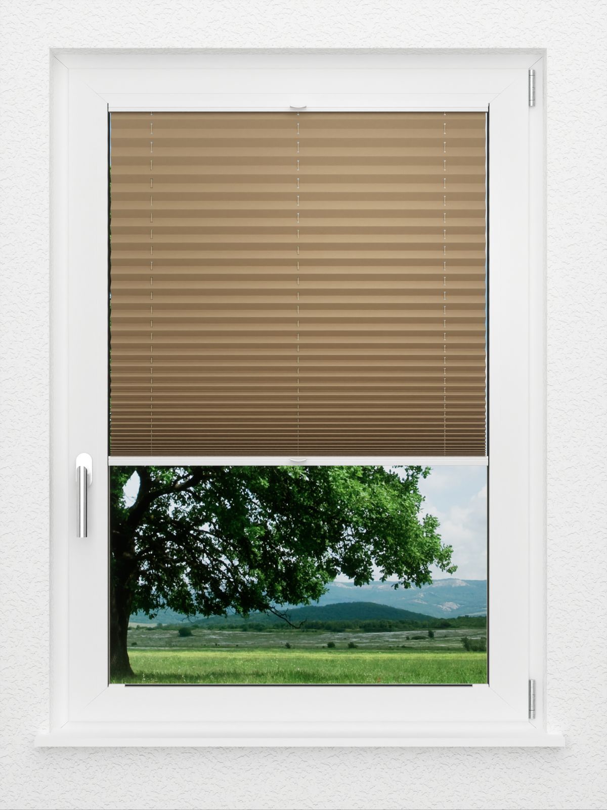 Detailansicht LYSEL HOME Plissé 235A Aralia