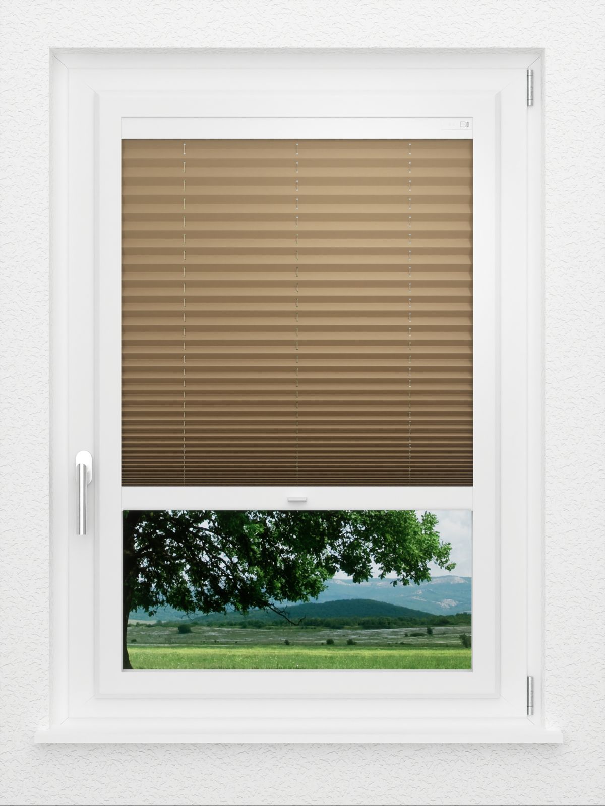 Detailansicht LYSEL HOME Plissé 235A Aralia