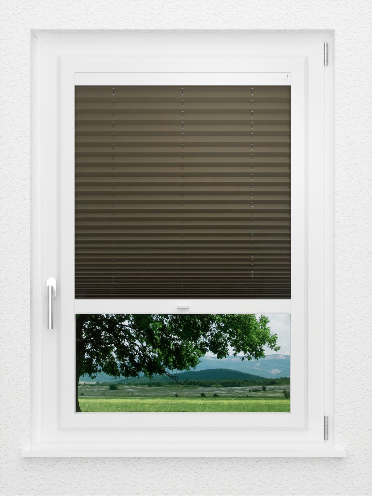 Detailansicht LYSEL HOME Plissé 236A Aralia