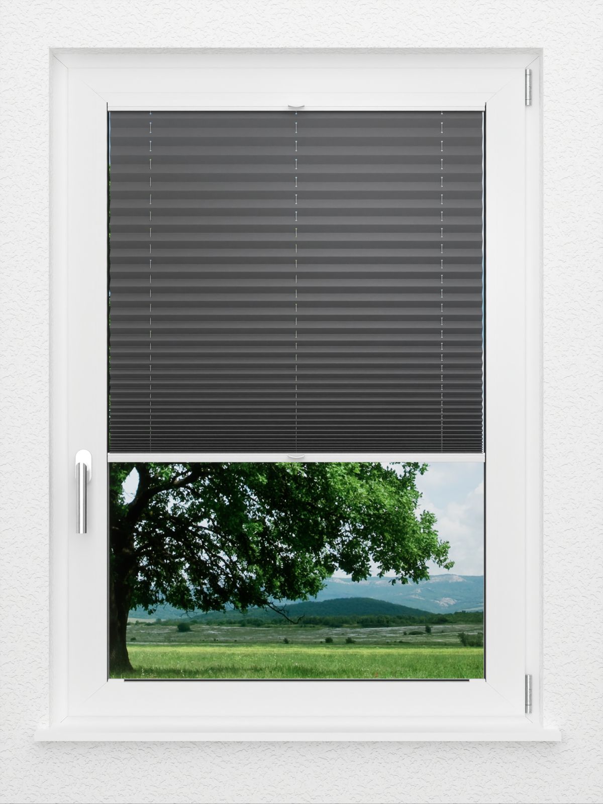 Detailansicht LYSEL HOME Plissé 233A Aralia