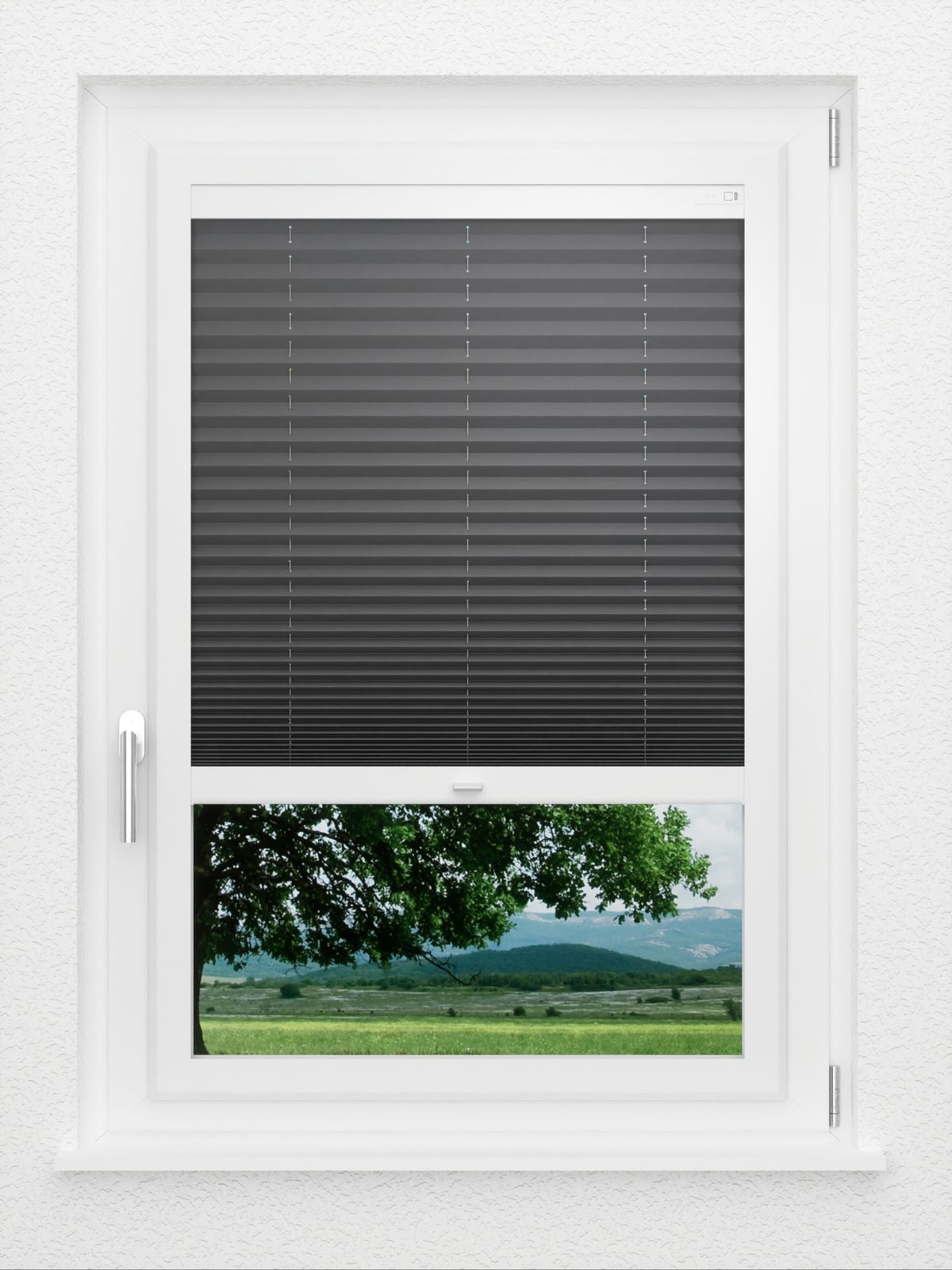 Detailansicht LYSEL HOME Plissé 233A Aralia