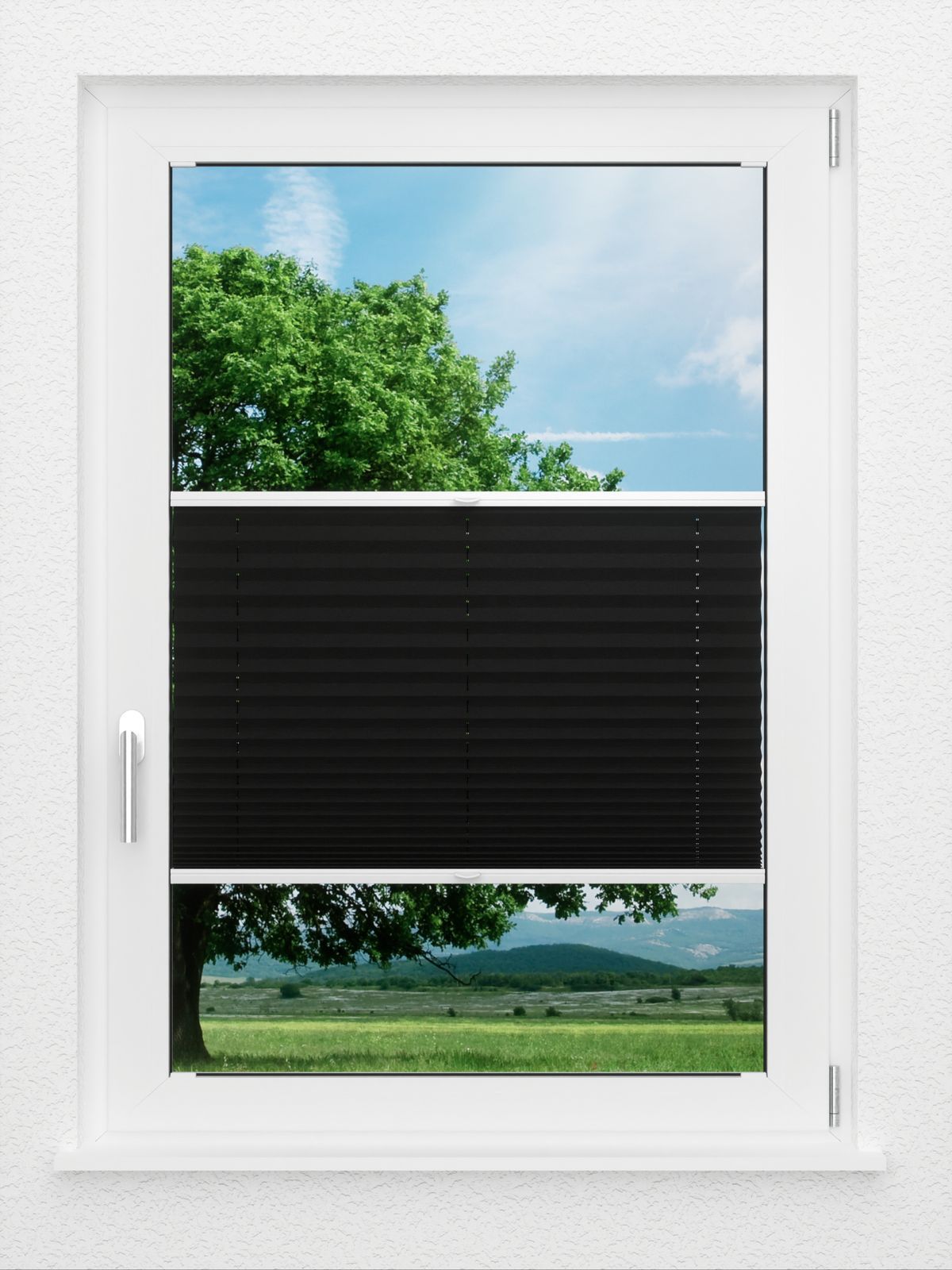 Detailansicht LYSEL HOME Plissé 238A Aralia BO