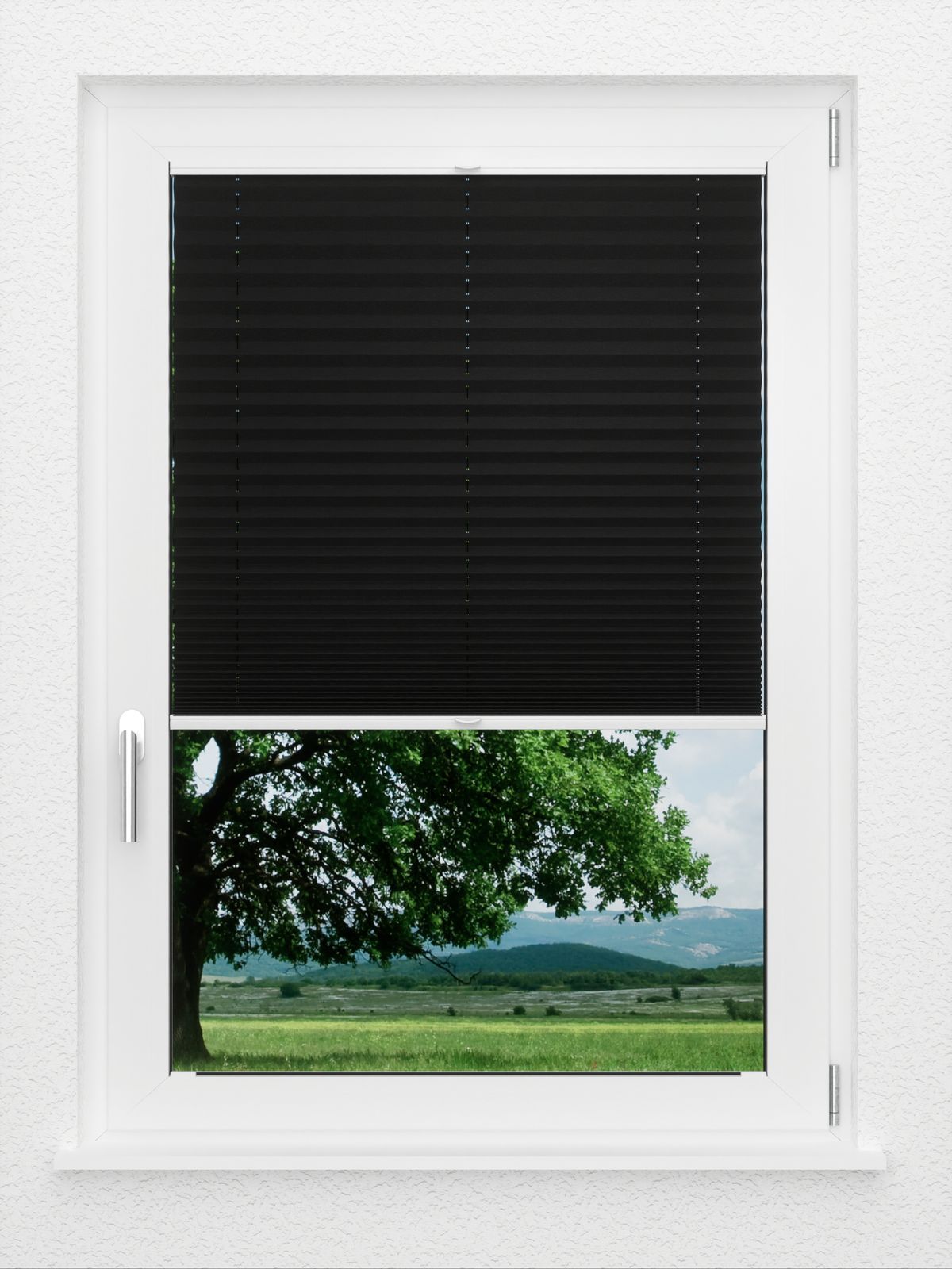 Detailansicht LYSEL HOME Plissé 238A Aralia BO