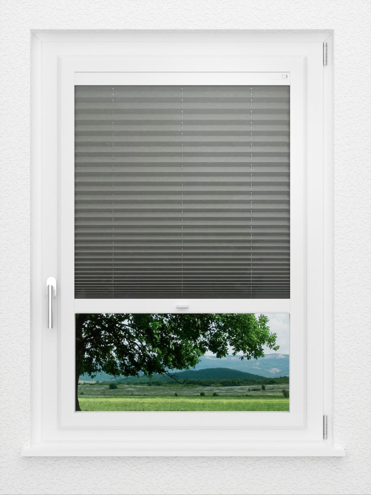 Detailansicht LYSEL HOME Store plissé 109A Crush