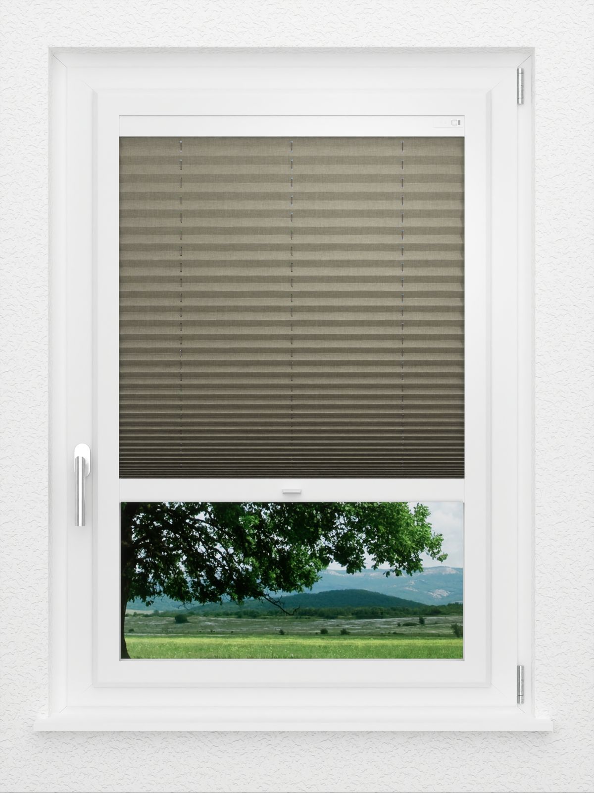 Detailansicht LYSEL HOME Plissé 134A Betula BO