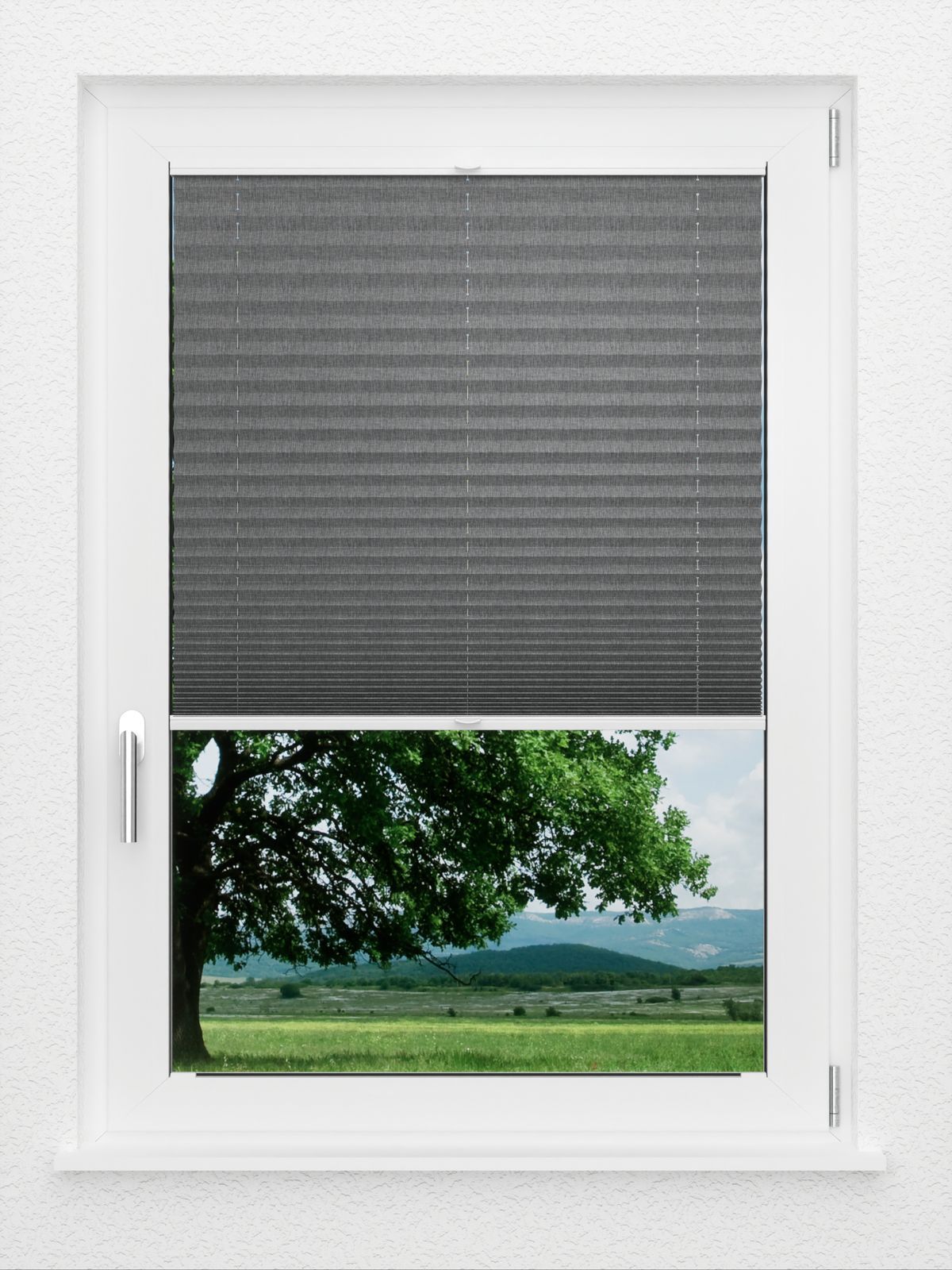 Detailansicht LYSEL HOME Plissé 127A Betula BO