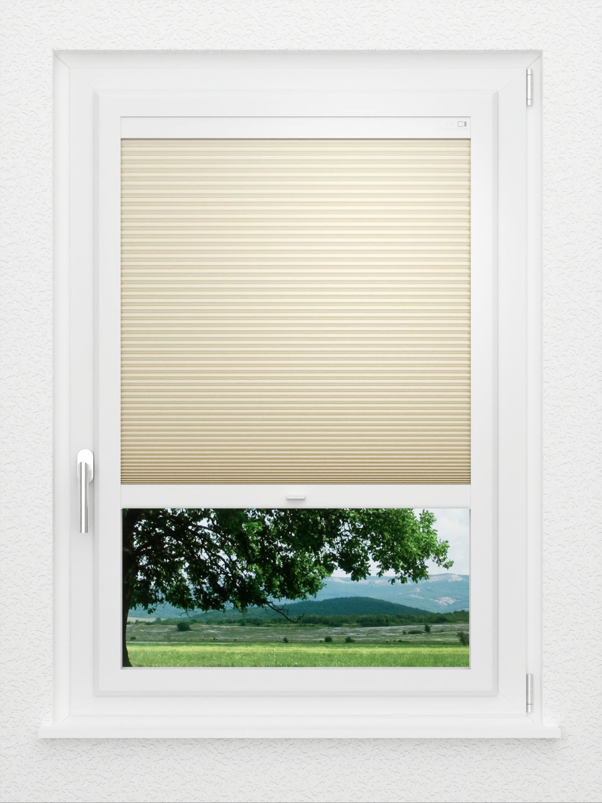 Detailansicht LYSEL HOME Plissee 033A Nana BO Wabe