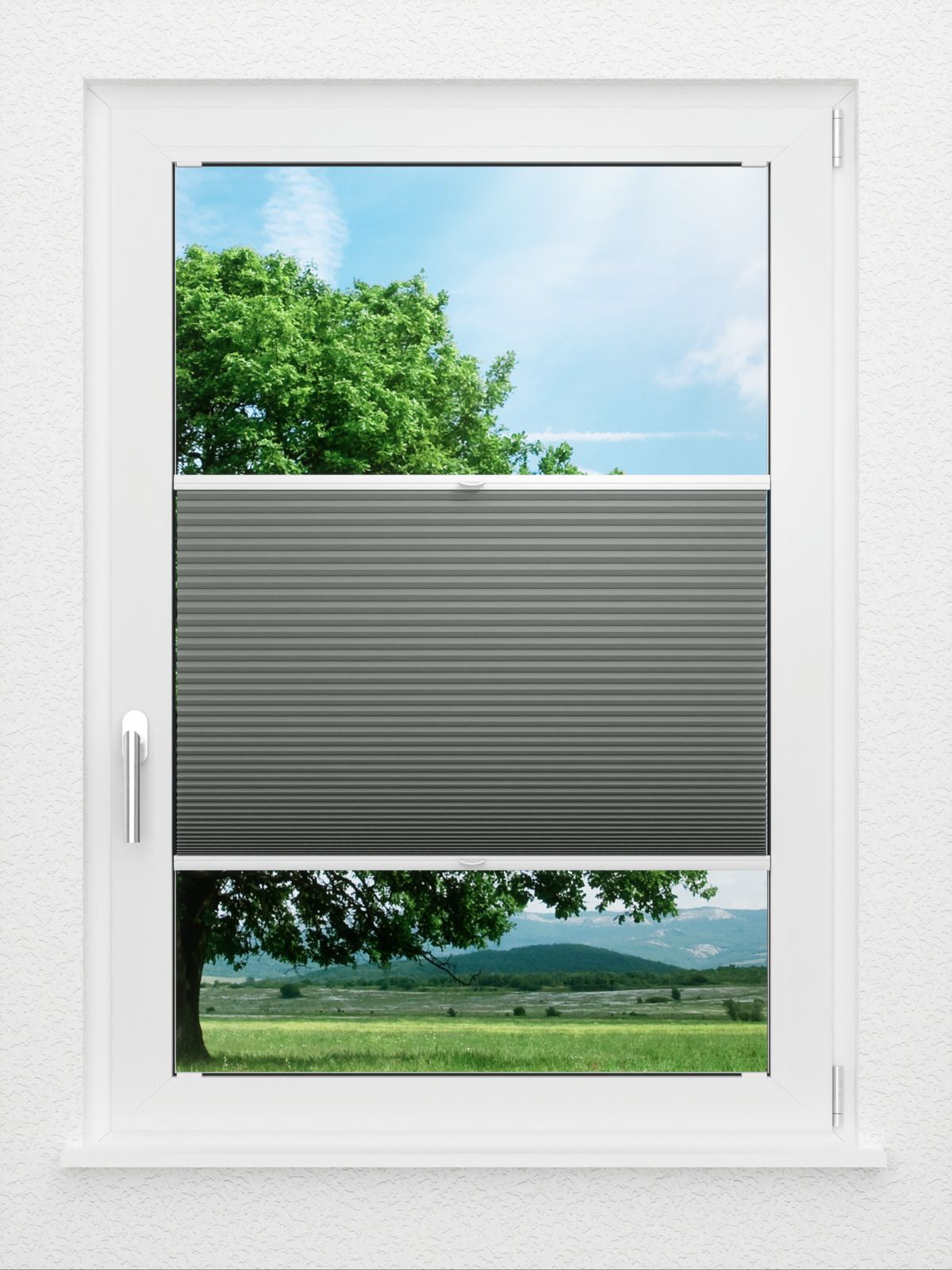 Detailansicht LYSEL HOME Plissee 036A Nana BO Wabe