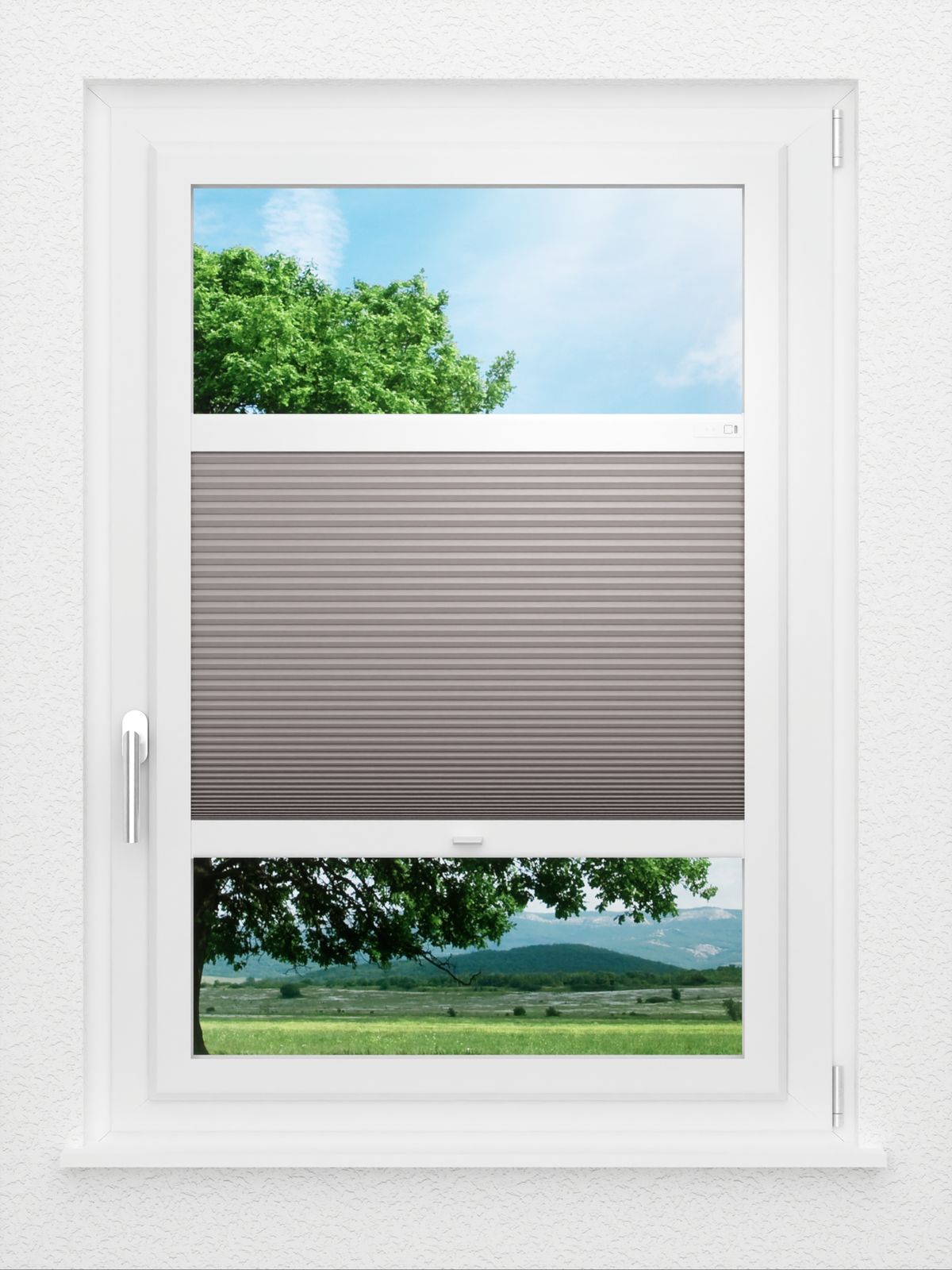 Detailansicht LYSEL HOME Plissee 040A Nana BO Wabe