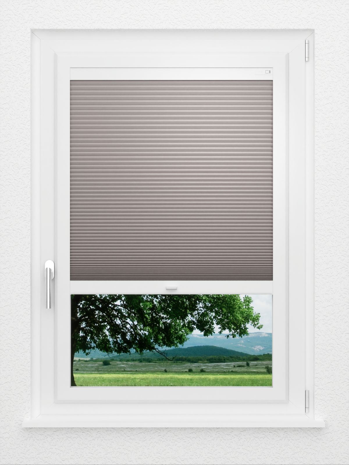 Detailansicht LYSEL HOME Plissee 040A Nana BO Wabe