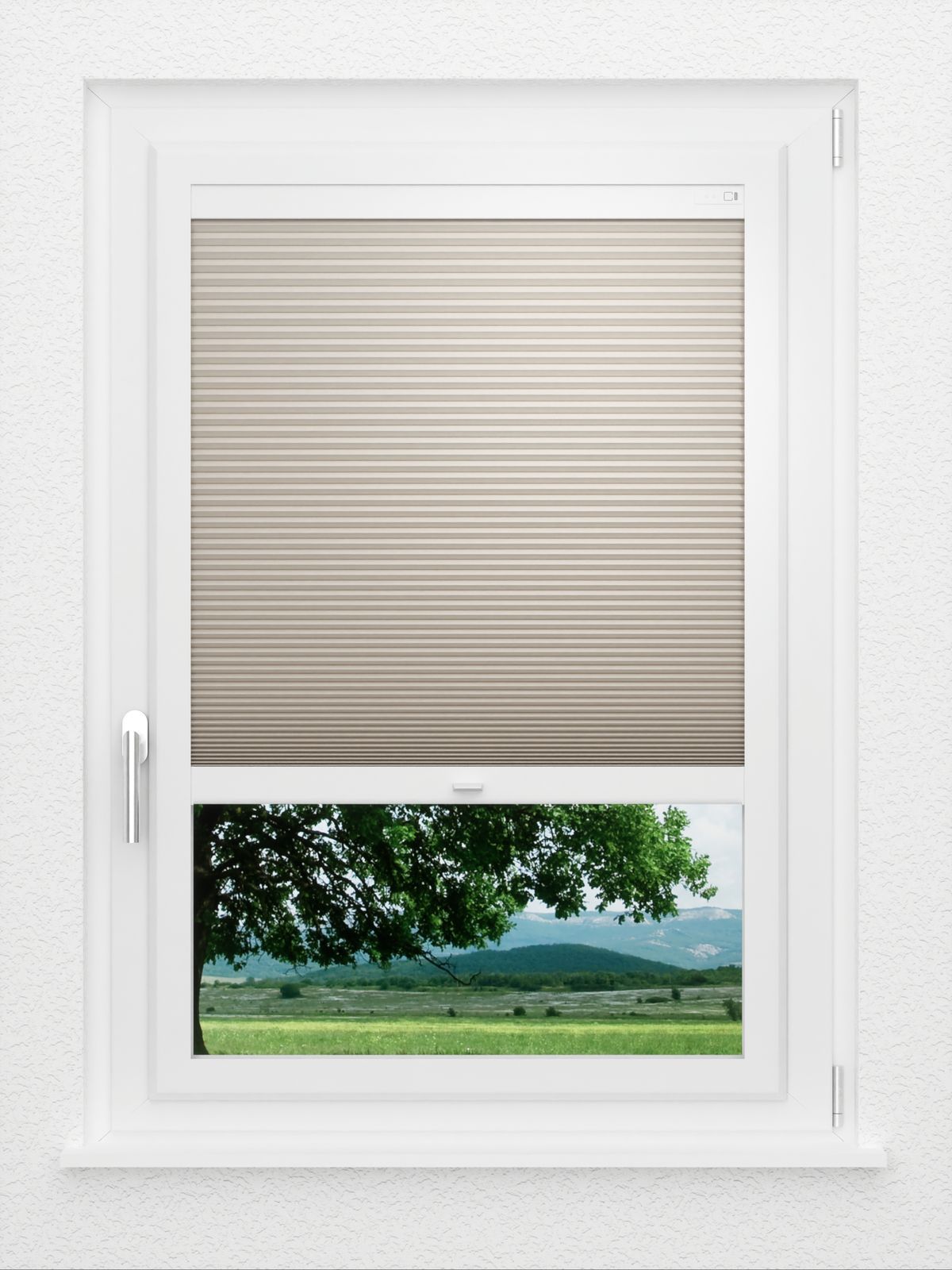 Detailansicht LYSEL HOME Plissee 012A Nana BO Wabe