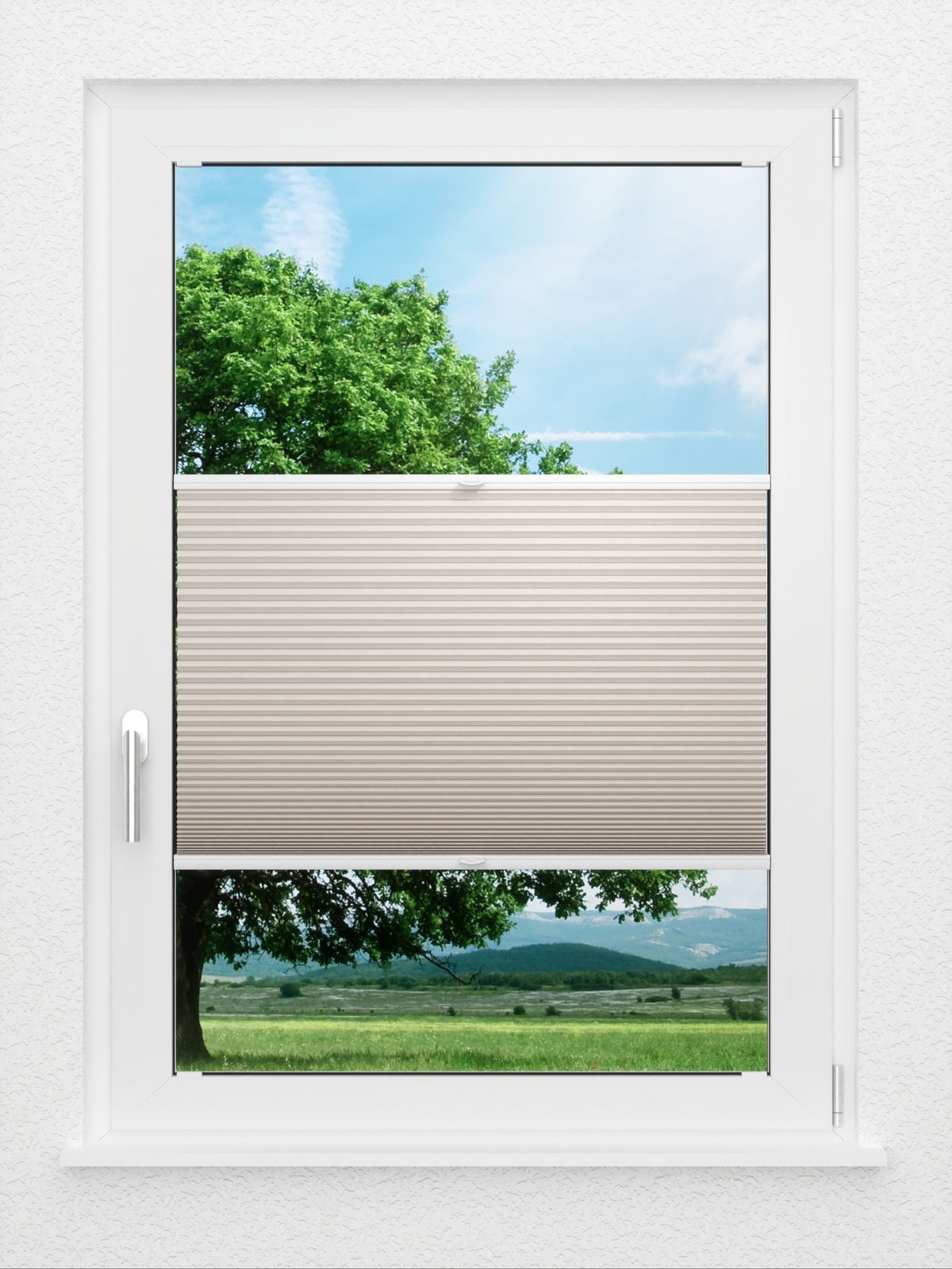 Detailansicht LYSEL HOME Plissee 011A Alba LI Wabe