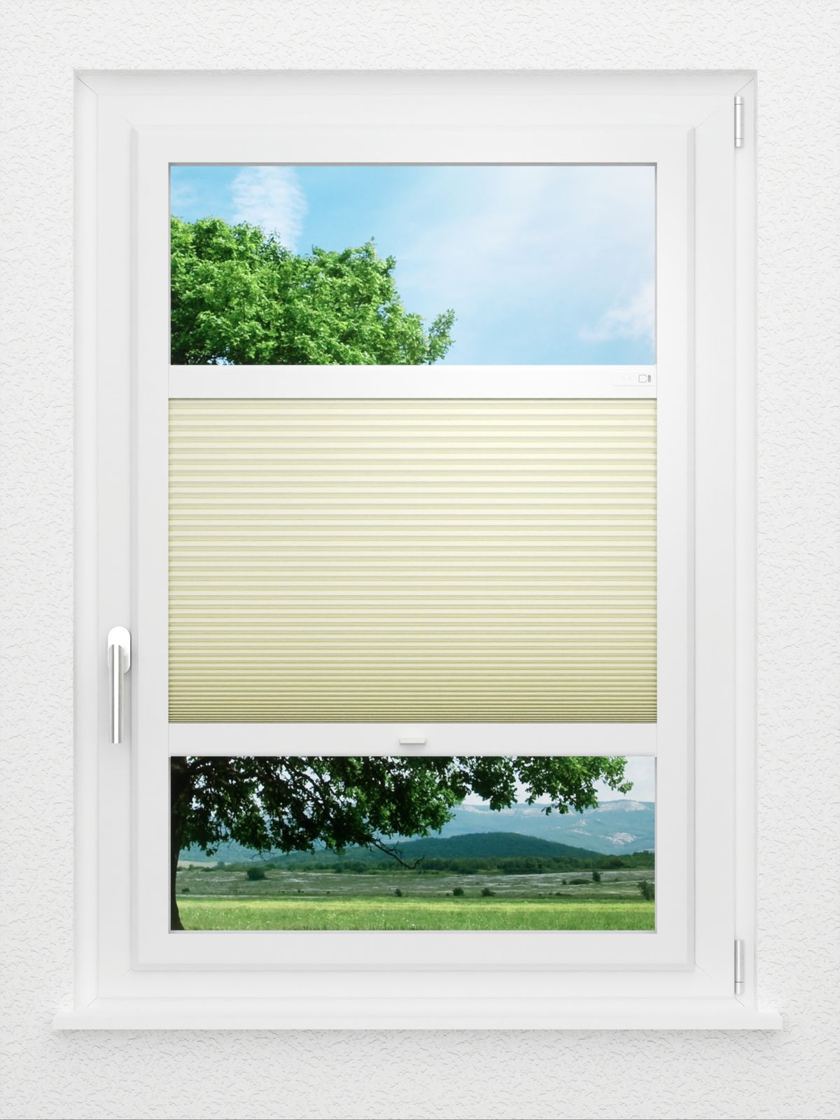 Detailansicht LYSEL HOME Plissee 311A Lanea BO Wabe