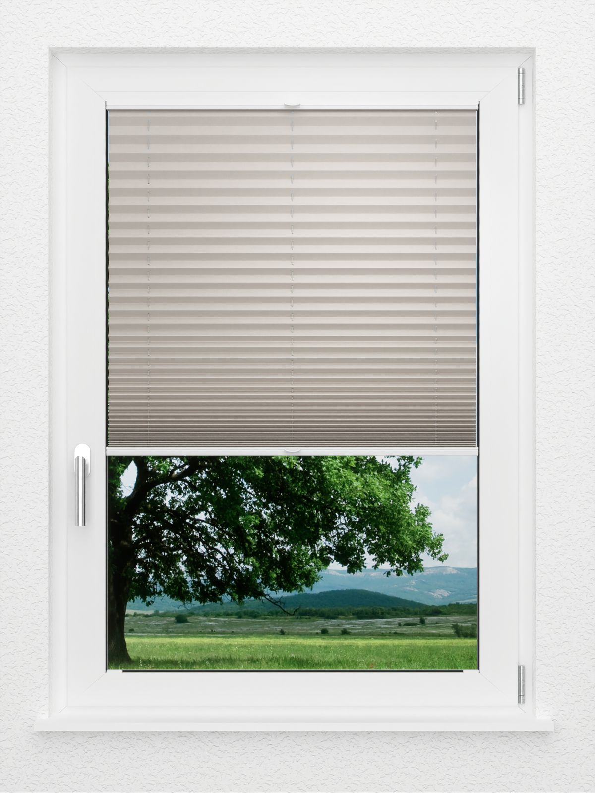 Detailansicht LYSEL HOME Plissé 128B Aralia