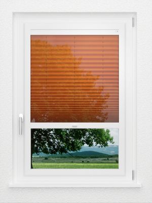 Preview LYSEL HOME Plissee 429A Flame 1