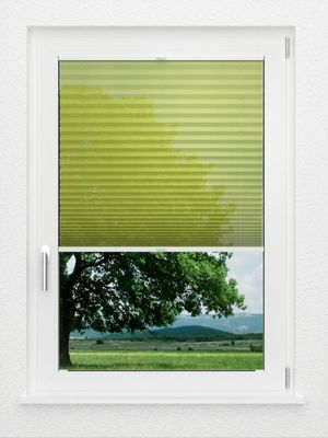 Preview LYSEL HOME Plissee 316A Flame 1