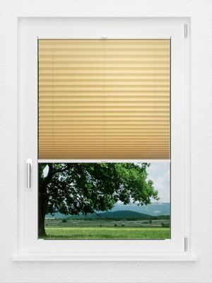 Preview LYSEL HOME Plissé 225A Aralia 1