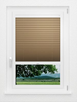 Preview LYSEL HOME Plissé 235A Aralia 1