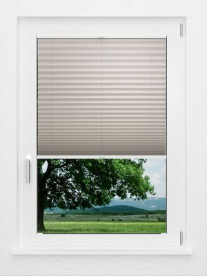 Preview LYSEL HOME Plissé 128A Aralia 1