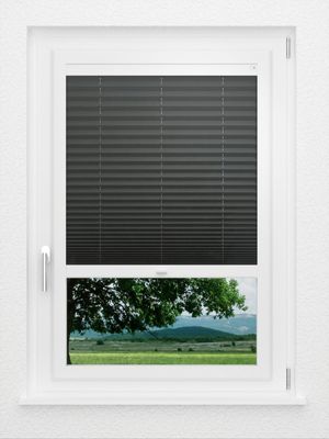 Preview LYSEL HOME Plissé 137A Aralia 1