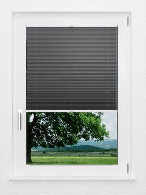 Preview LYSEL HOME Plissé 233A Aralia 1