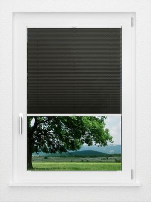 Preview LYSEL HOME Plissé 230A Erinus 1