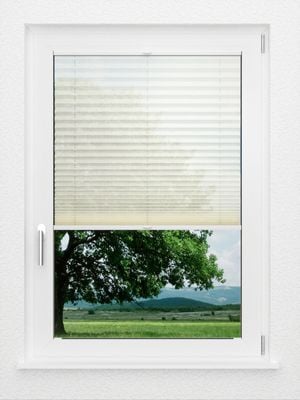 Preview LYSEL HOME Plissé 232A Calluna 1