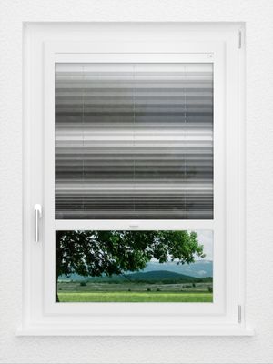 Preview LYSEL HOME Plissee 418A Light Wave 1