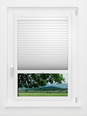 Preview LYSEL HOME Plissee 408A Naturalis 1