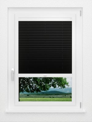 Preview LYSEL HOME Plissé 238B Aralia BO 1