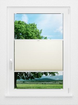 Preview LYSEL HOME Plissee 017A Calluna Wabe 0