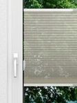 Rough Comb SCL 6101.3575 Fensteransicht