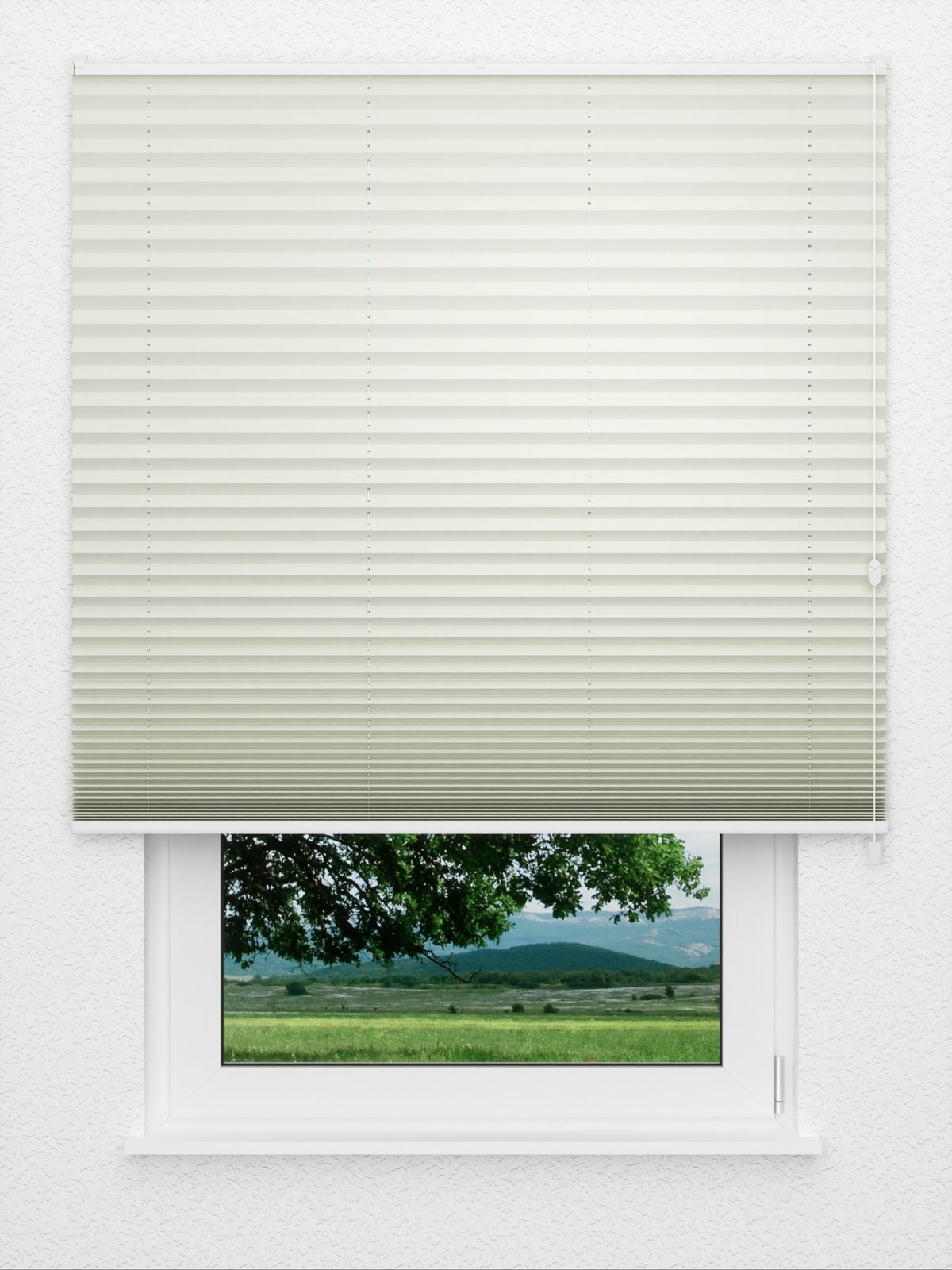 Detailansicht Store plissé Coton 3801.0118