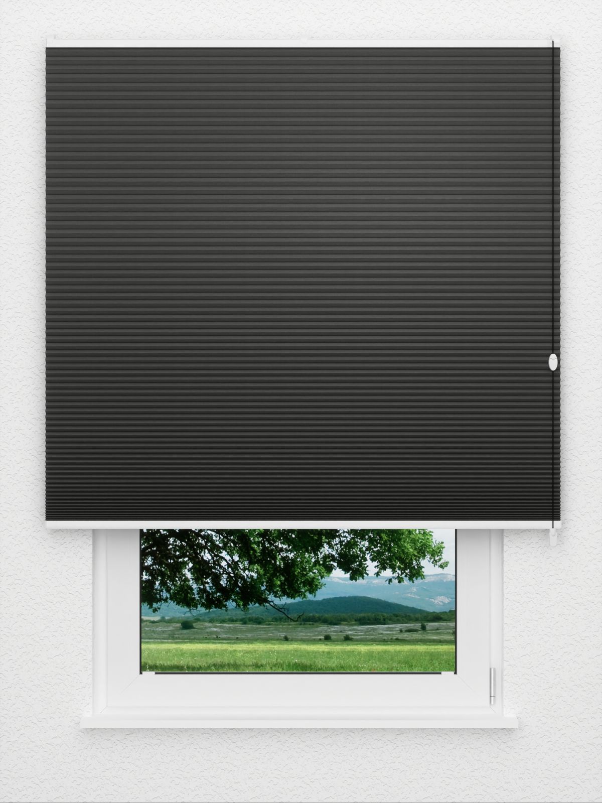 Detailansicht Tender Comb BO 9309.3636