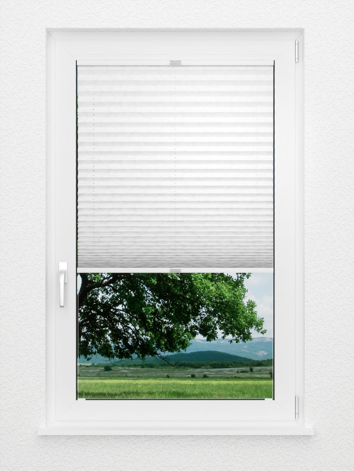 Detailansicht Plissé Glossy Circles 5701.0115