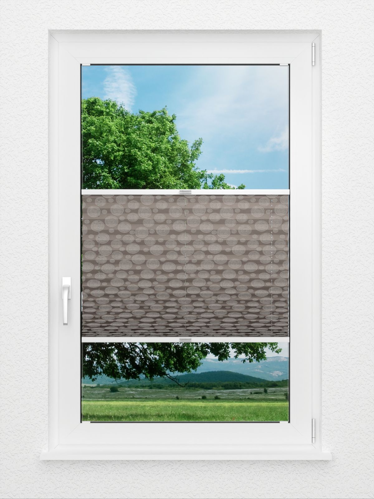 Detailansicht Plissé Glossy Circles 5709.0511